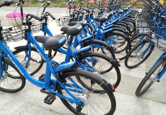 久碰久摸久看视频在线观看